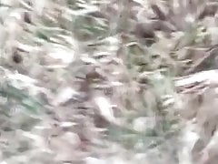 girl peeing in outdoor toilet festival