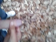 forest pee
