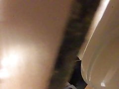 Defrauding Toilets