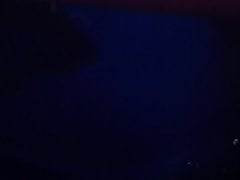 Pissing
